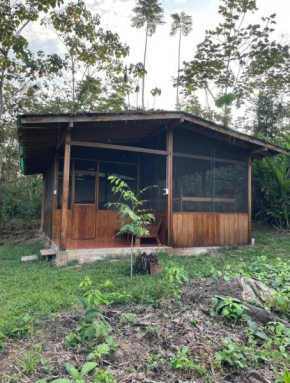 Secret Forest Station